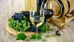 Vyno degustacija